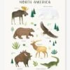Affiche Animaux D'Amérique Du Nord Living Earth LILIPINSO Marron - Lilipinso