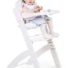 Chaise Haute évolutive CHILDHOME Evosit Noir - Childhome 1 Chaise Haute évolutive CHILDHOME Evosit Noir - Childhome -Magasin De Produits Pour Bébés chaise haute evolutive childhome evosit