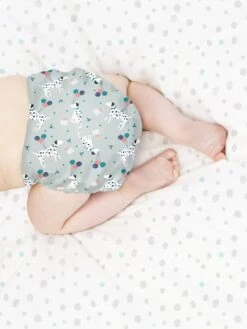 Miosolo Couche Lavable Tout-en-un BAMBINO MIO Doux Citron - Bambino Mio 13 Miosolo Couche Lavable Tout-en-un BAMBINO MIO Doux Citron - Bambino Mio -Magasin De Produits Pour Bébés miosolo couche lavable tout en un bambino mio 5